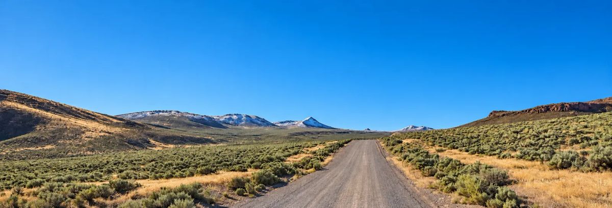 Decorative background for 320 Acres Surrounded by BLM Government Land — East of Seven Troughs Mountain! Imagine a private country retreat, a future home with sweeping views, or space for farming and agricultural pursuits. image 30