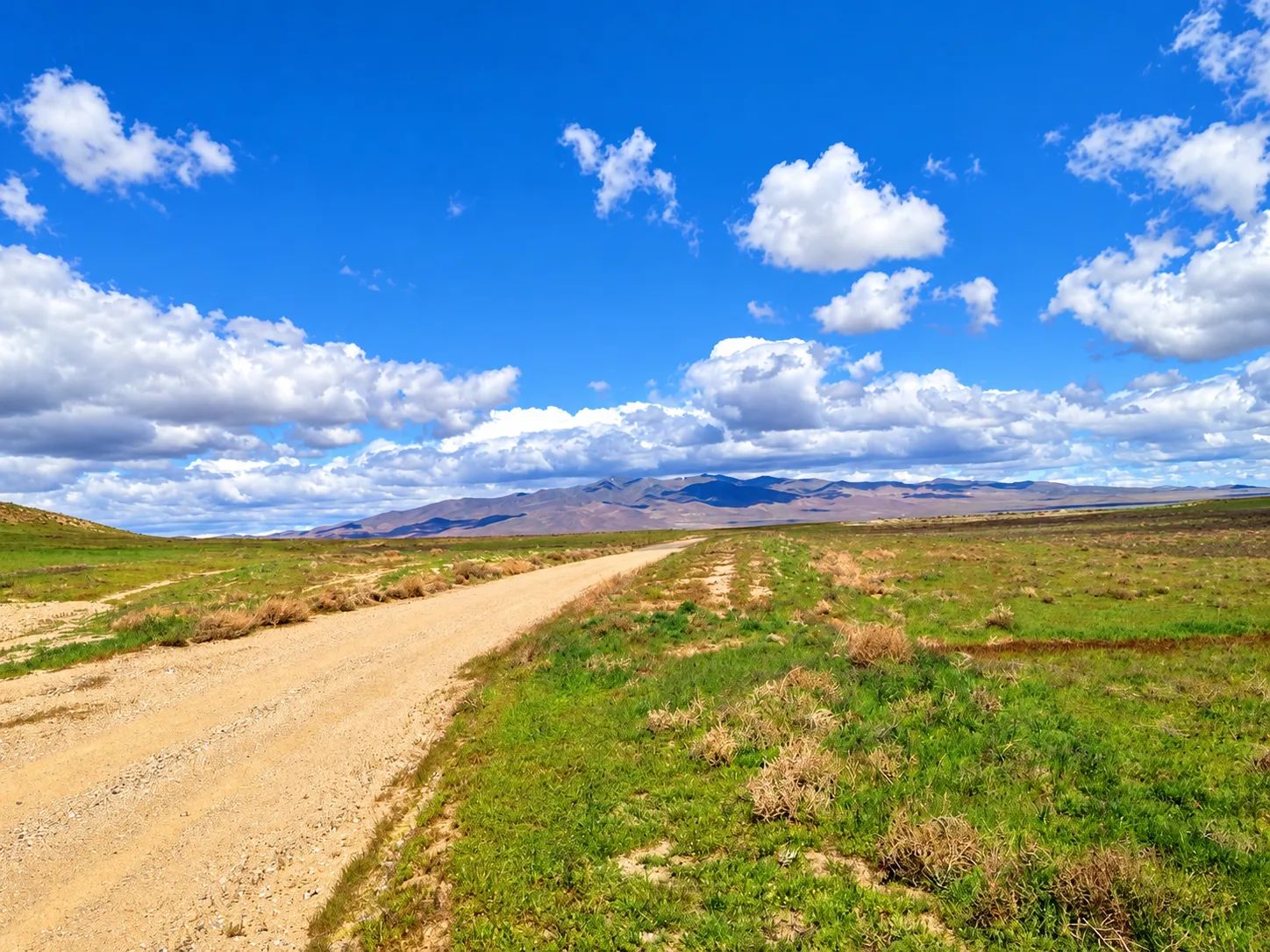 Rare Opportunity -80 Acres Zoned for A1, A2 and A3, -Farm, Agricultural, Ranch, & Residential! Seasonal Creek n the Property! Borders 640 BLM Land* in Nevada Freedom in Lander County!