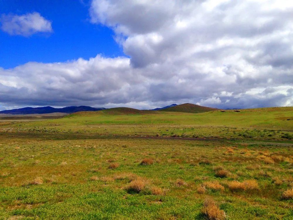 Rare Opportunity -80 Acres Zoned for A1, A2 and A3, -Farm, Agricultural, Ranch, & Residential! Seasonal Creek n the Property! Borders 640 BLM Land* in Nevada Freedom in Lander County! - Image 3