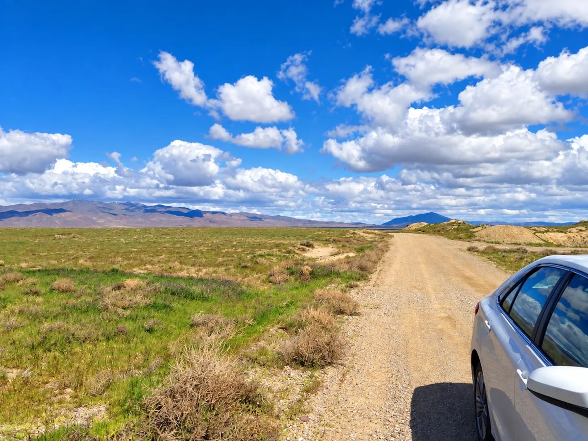 Decorative background for Rare Opportunity -80 Acres Zoned for A1, A2 and A3, -Farm, Agricultural, Ranch, & Residential! Seasonal Creek n the Property! Borders 640 BLM Land* in Nevada Freedom in Lander County! image 5