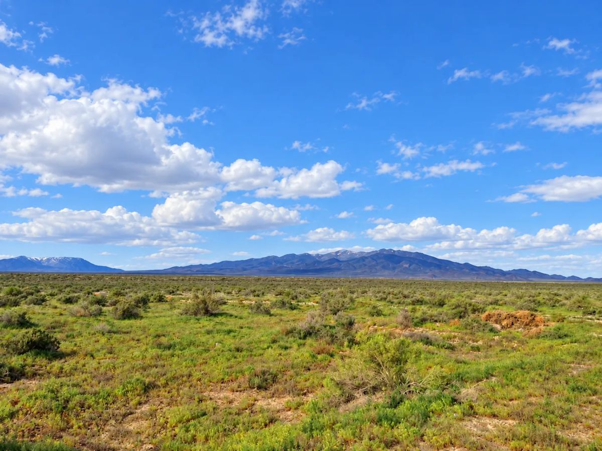 Decorative background for Rare Opportunity -80 Acres Zoned for A1, A2 and A3, -Farm, Agricultural, Ranch, & Residential! Seasonal Creek n the Property! Borders 640 BLM Land* in Nevada Freedom in Lander County! image 8