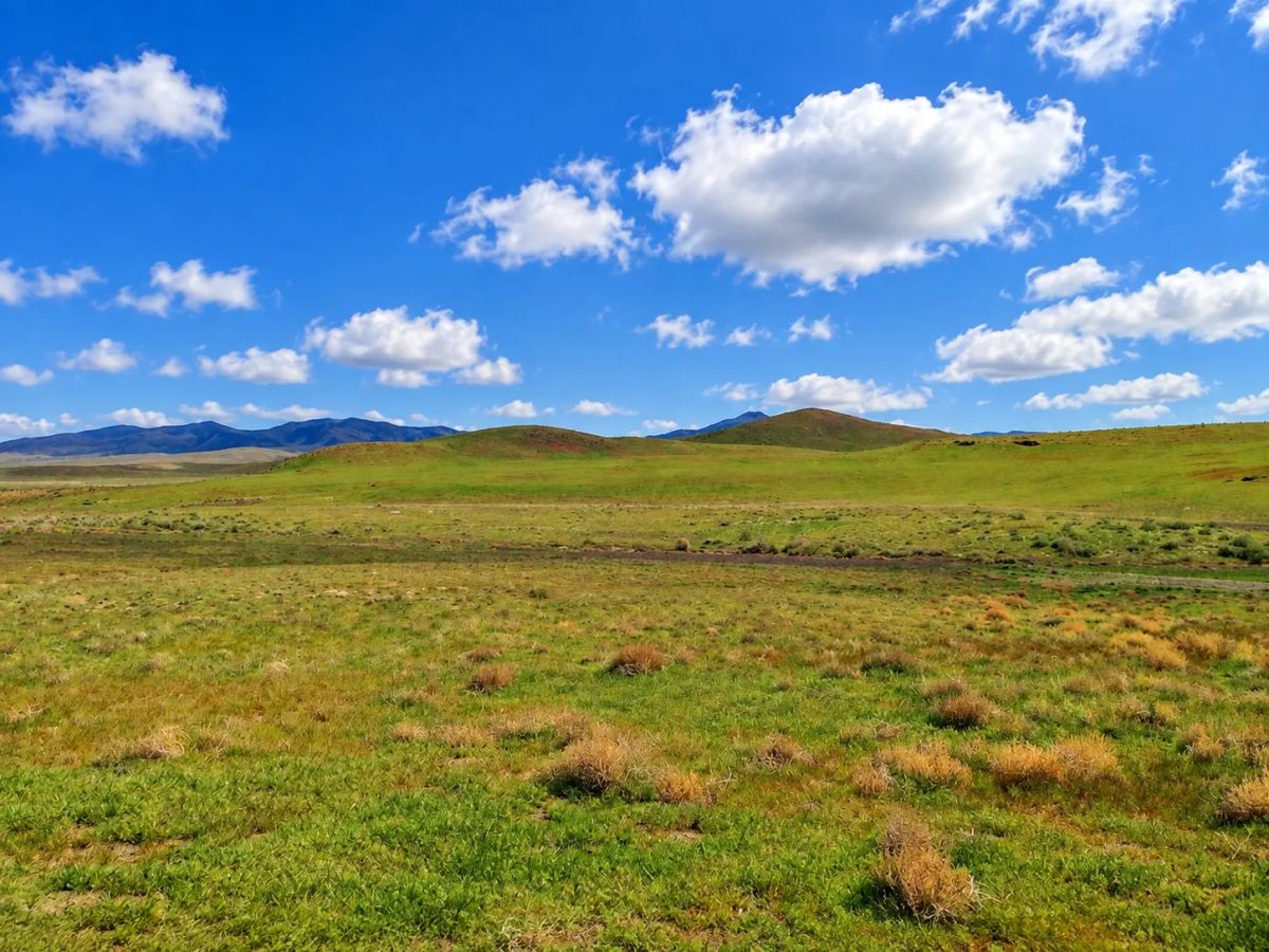 Decorative background for Rare Opportunity -80 Acres Zoned for A1, A2 and A3, -Farm, Agricultural, Ranch, & Residential! Seasonal Creek n the Property! Borders 640 BLM Land* in Nevada Freedom in Lander County! image 9