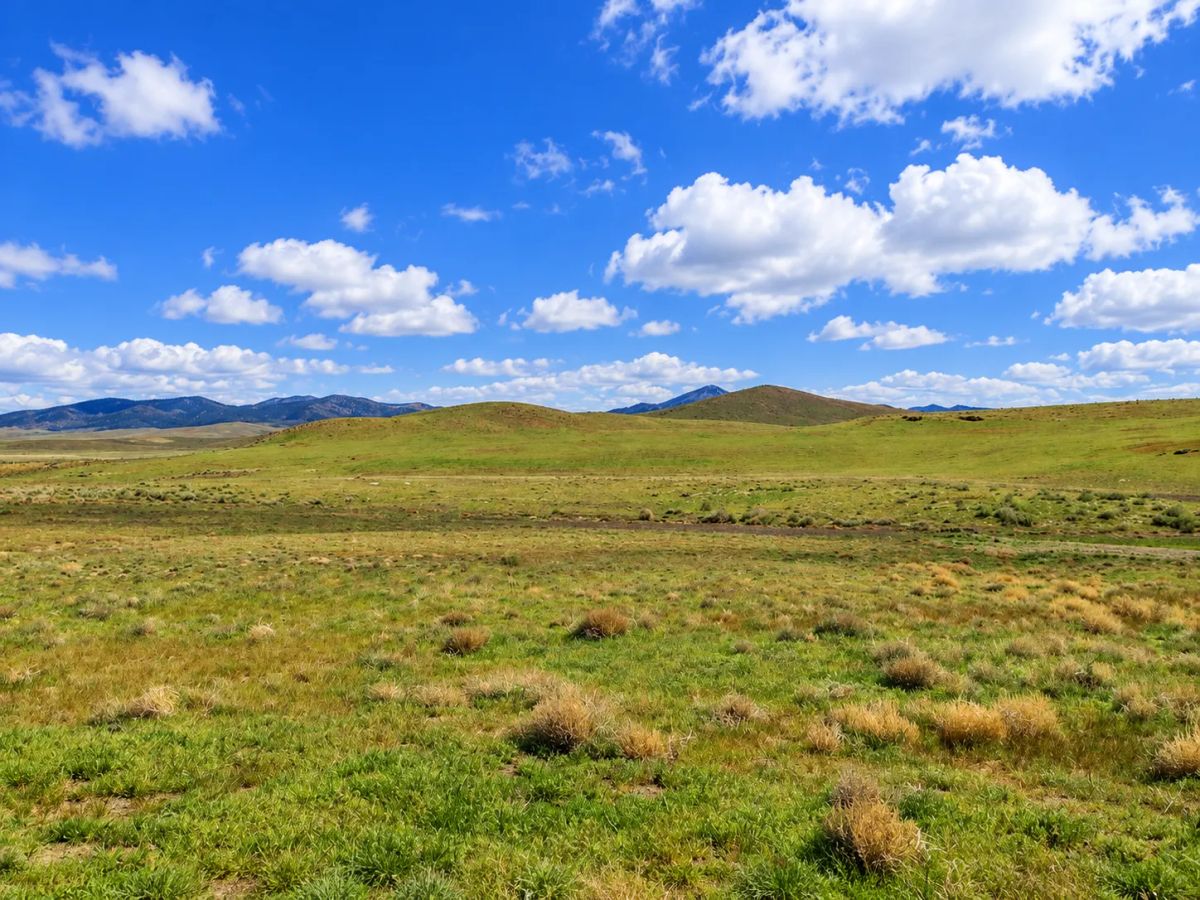 Decorative background for Rare Opportunity -80 Acres Zoned for A1, A2 and A3, -Farm, Agricultural, Ranch, & Residential! Seasonal Creek n the Property! Borders 640 BLM Land* in Nevada Freedom in Lander County! image 12