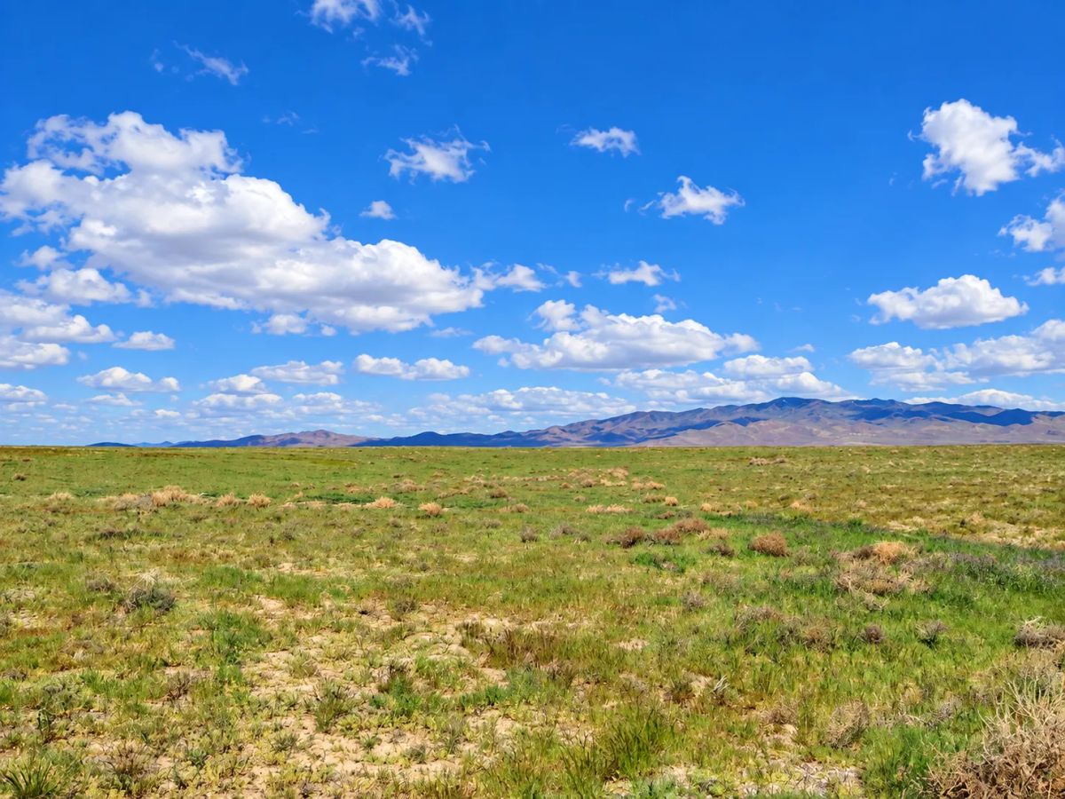 Decorative background for Rare Opportunity -80 Acres Zoned for A1, A2 and A3, -Farm, Agricultural, Ranch, & Residential! Seasonal Creek n the Property! Borders 640 BLM Land* in Nevada Freedom in Lander County! image 13