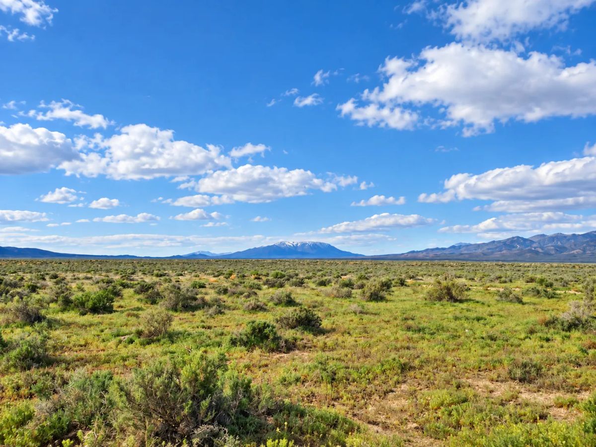 Decorative background for Rare Opportunity -80 Acres Zoned for A1, A2 and A3, -Farm, Agricultural, Ranch, & Residential! Seasonal Creek n the Property! Borders 640 BLM Land* in Nevada Freedom in Lander County! image 14