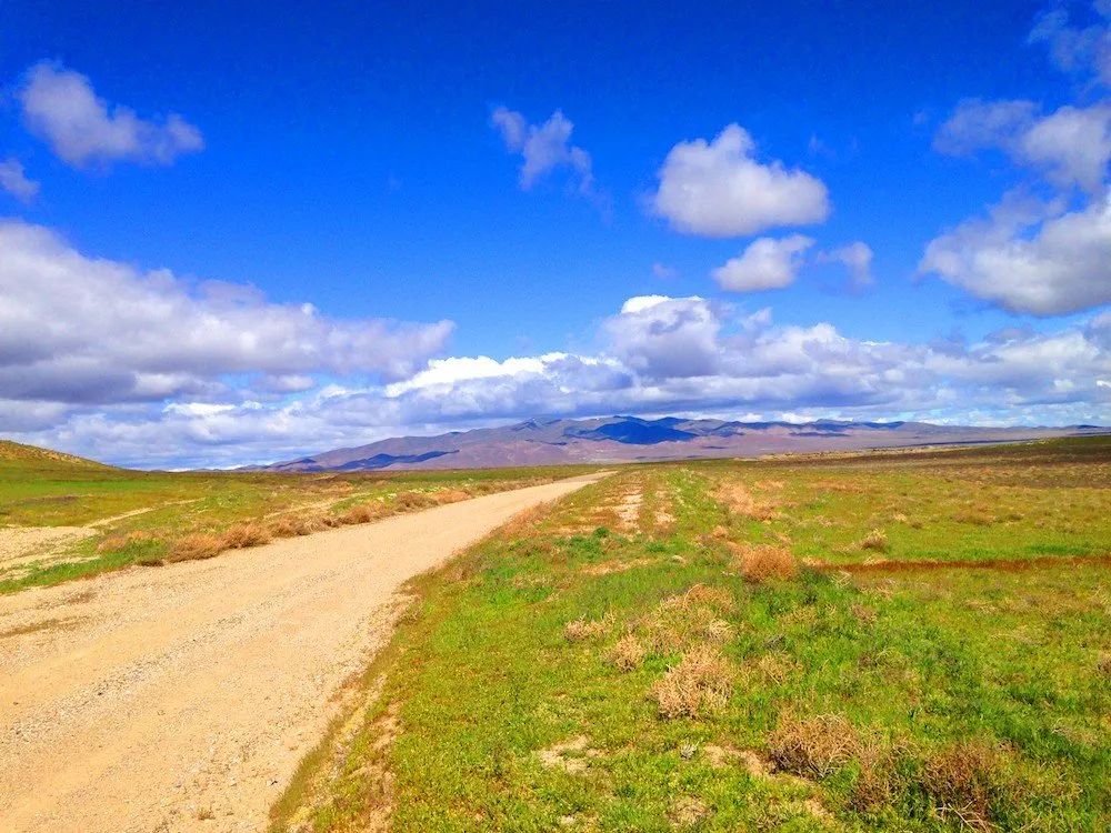 Rare Opportunity -80 Acres Zoned for A1, A2 and A3, -Farm, Agricultural, Ranch, & Residential! Seasonal Creek n the Property! Borders 640 BLM Land* in Nevada Freedom in Lander County! in Lander County, NV