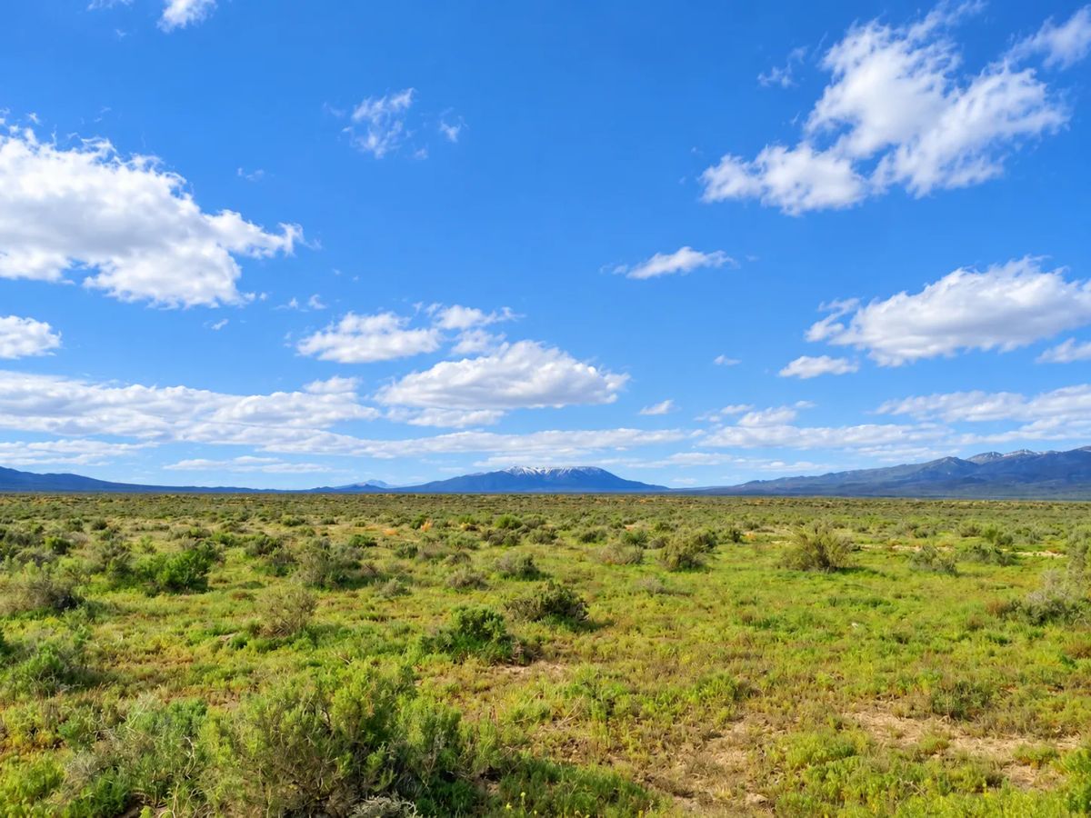 Decorative background for Rare Opportunity -80 Acres Zoned for A1, A2 and A3, -Farm, Agricultural, Ranch, & Residential! Seasonal Creek n the Property! Borders 640 BLM Land* in Nevada Freedom in Lander County! image 7