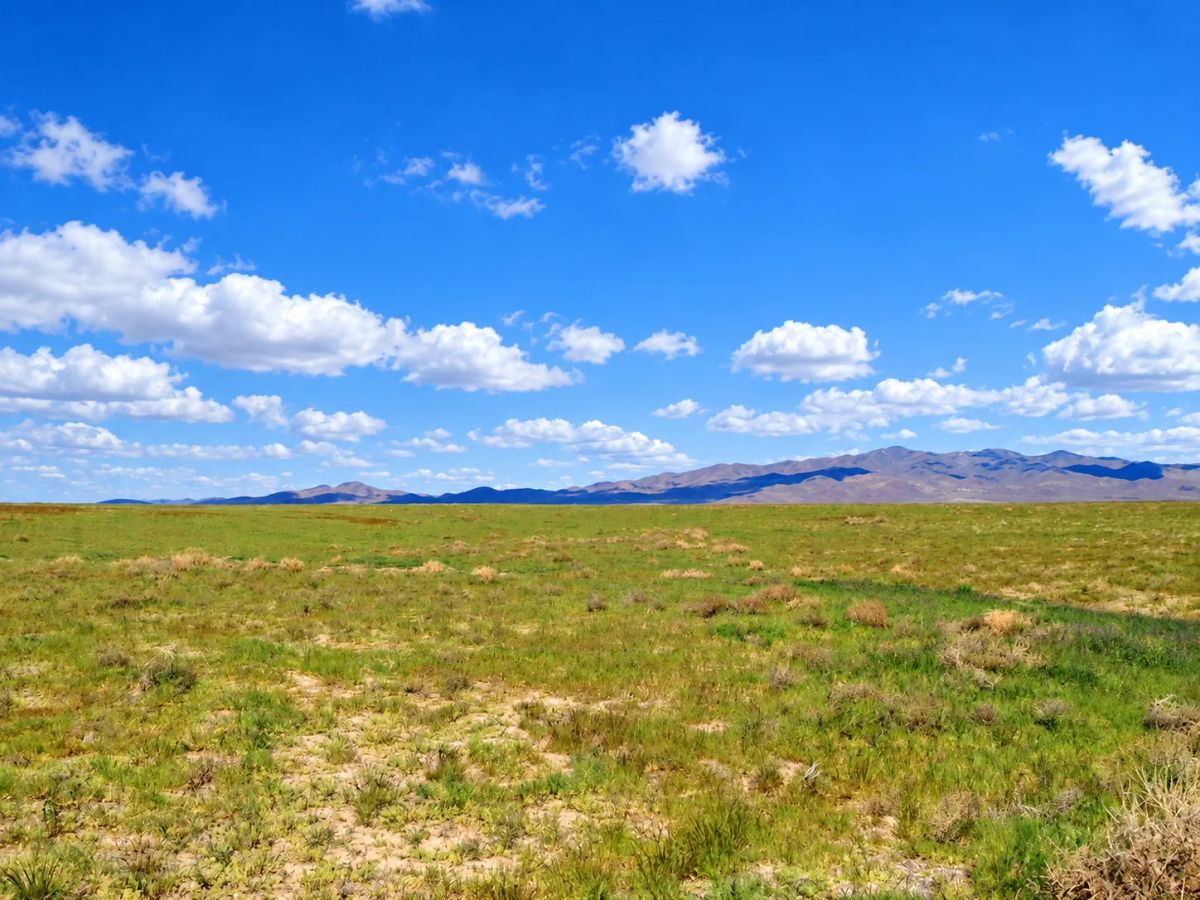 Decorative background for Rare Opportunity -80 Acres Zoned for A1, A2 and A3, -Farm, Agricultural, Ranch, & Residential! Seasonal Creek n the Property! Borders 640 BLM Land* in Nevada Freedom in Lander County! image 10