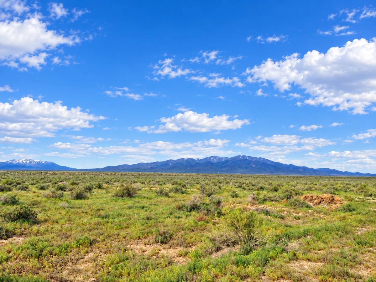 Decorative background for Rare Opportunity -80 Acres Zoned for A1, A2 and A3, -Farm, Agricultural, Ranch, & Residential! Seasonal Creek n the Property! Borders 640 BLM Land* in Nevada Freedom in Lander County! image 15