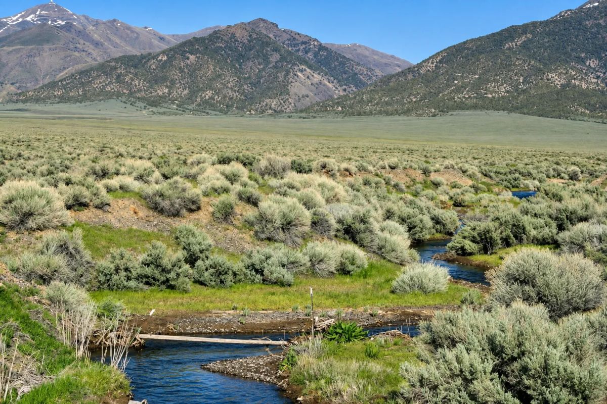 Decorative background for Rare Opportunity -80 Acres Zoned for A1, A2 and A3, -Farm, Agricultural, Ranch, & Residential! Seasonal Creek n the Property! Borders 640 BLM Land* in Nevada Freedom in Lander County! image 17