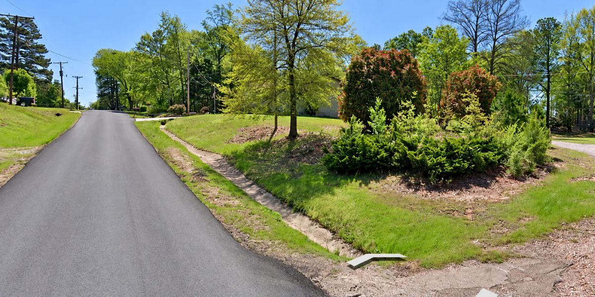 Decorative background for Residential Lot in Stephens City-Ouachita County offers power, water and sewer. APN: 976-00083-000R image 5