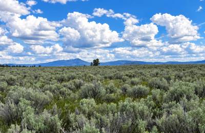 A Rare Opportunity for 160 Acres of Oregon Freedom