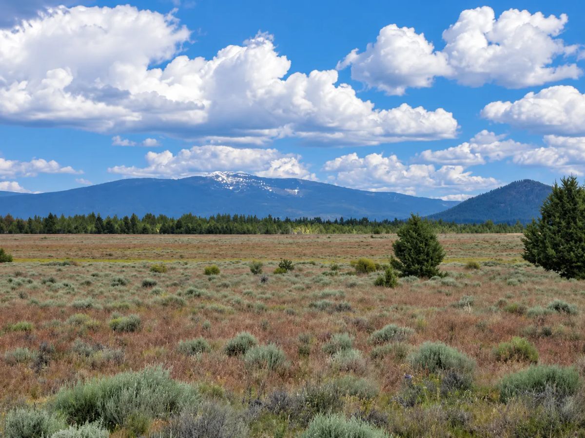 A Rare Opportunity for 160 Acres of Oregon Freedom - Image 3