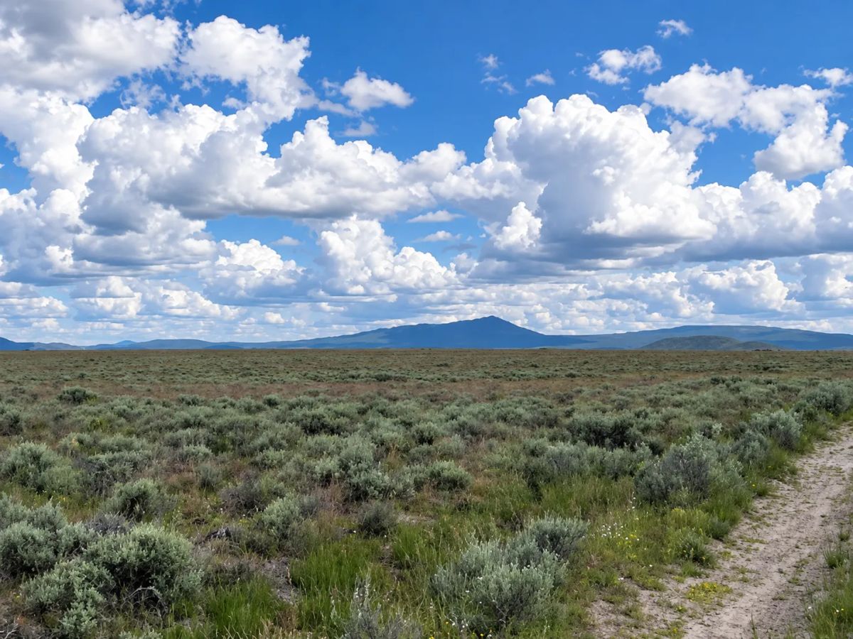 Decorative background for A Rare Opportunity for 160 Acres of Oregon Freedom image 5