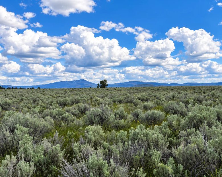 A Rare Opportunity for 160 Acres of Oregon Freedom in Klamath County, OR