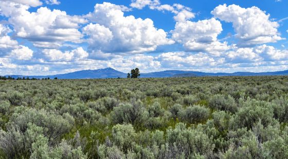 A Rare Opportunity for 160 Acres of Oregon Freedom in Klamath County, OR