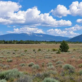 A Rare Opportunity for 160 Acres of Oregon Freedom in Klamath County, OR