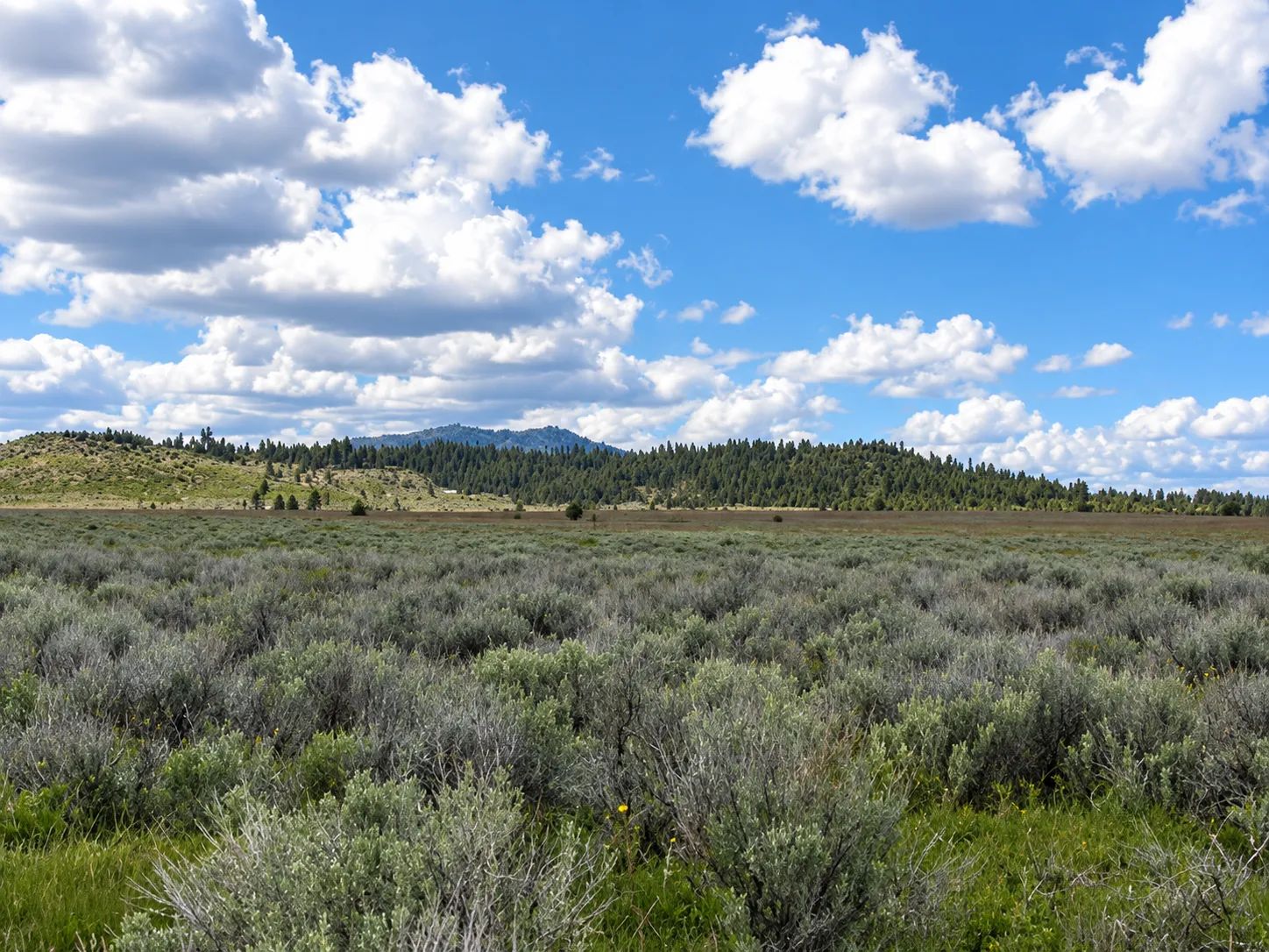 A Rare Opportunity for 160 Acres of Oregon Freedom in Klamath County, OR