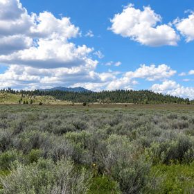 A Rare Opportunity for 160 Acres of Oregon Freedom in Klamath County, OR