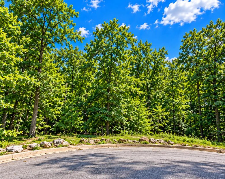 Bring your Camper and RV to the Lakes, Golf and Natural Beauty in Cherokee Village! in Fulton County, AR
