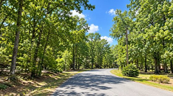 Bring your Camper and RV to the Lakes, Golf and Natural Beauty in Cherokee Village! in Fulton County, AR
