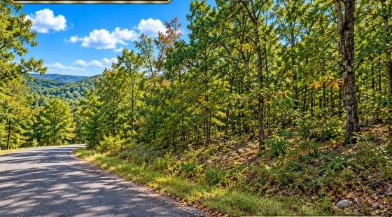 AVAILABLE 1.5 ACRES- RARE TRIPPLE LOT IN HOLIDAY ISLAND, ARKANSAS — LAKE LIVING, GOLF & OZARK BEAUTY! in Carroll County, AR