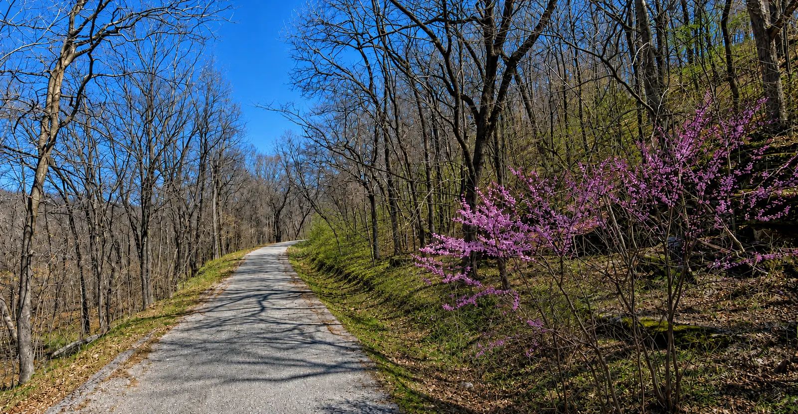 AVAILABLE 1.5 ACRES- RARE TRIPPLE LOT IN HOLIDAY ISLAND, ARKANSAS — LAKE LIVING, GOLF & OZARK BEAUTY! in Carroll County, AR
