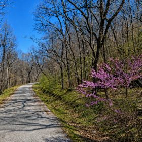 AVAILABLE 1.5 ACRES- RARE TRIPPLE LOT IN HOLIDAY ISLAND, ARKANSAS — LAKE LIVING, GOLF & OZARK BEAUTY! in Carroll County, AR