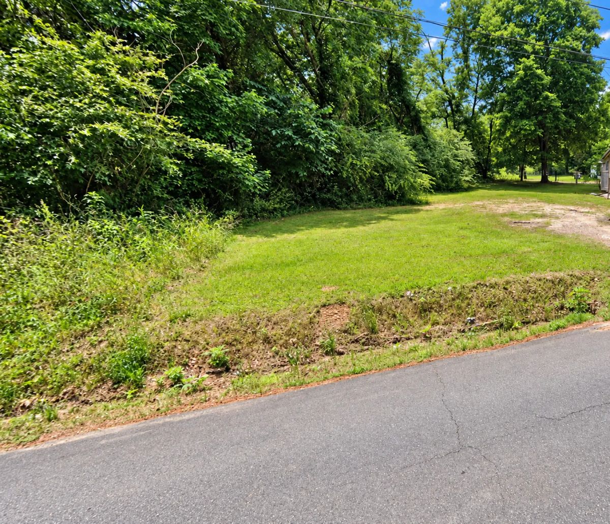 Great Residential Lot in Lafayette County, Arkansas, offers rural scenery, wooded hills, and outdoor recreation. - Image 3
