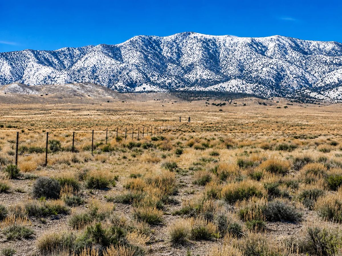 BUILD • FARM • RANCH • LIVE FREE — 1.13 BEAUTIFUL ACRES IN ELKO COUNTY, NEVADA WITH BIG MOUNTAIN VIEWS & NO HOA!. APN: 031-023-016 - Main image