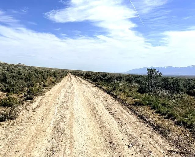 BUILD • FARM • RANCH • LIVE FREE — 1.13 BEAUTIFUL ACRES IN ELKO COUNTY, NEVADA WITH BIG MOUNTAIN VIEWS & NO HOA!. APN: 031-023-016 - Image 4