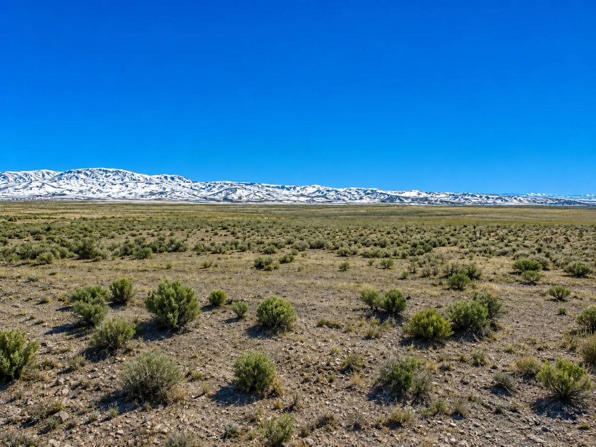 Decorative background for BUILD • FARM • RANCH • LIVE FREE — 1.13 BEAUTIFUL ACRES IN ELKO COUNTY, NEVADA WITH BIG MOUNTAIN VIEWS & NO HOA!. APN: 031-023-016 image 13