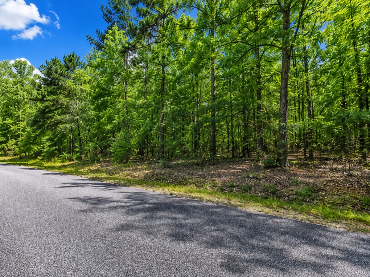 Time to Camp and RV! Discover the Lake Chanute Lifestyle in the Beautiful Arkansas Ozarks! Residential Lot with Utilities and Road Frontage APN: 350-19638-000 - Main image