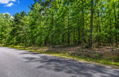 Time to Camp and RV! Discover the Lake Chanute Lifestyle in the Beautiful Arkansas Ozarks! Residential Lot with Utilities and Road Frontage APN: 350-19638-000