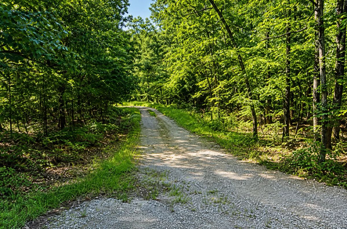 Time to Camp and RV! Discover the Lake Chanute Lifestyle in the Beautiful Arkansas Ozarks! Residential Lot with Utilities and Road Frontage APN: 350-19638-000 - Image 2
