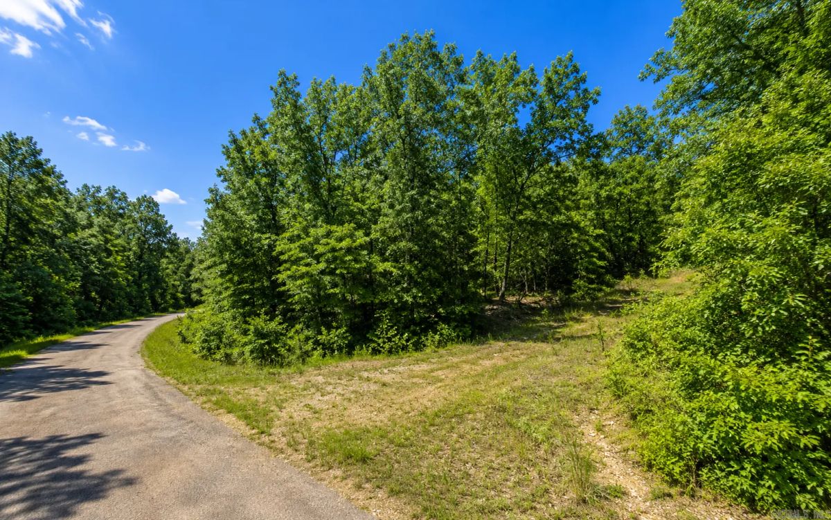 Decorative background for Time to Camp and RV! Discover the Lake Chanute Lifestyle in the Beautiful Arkansas Ozarks! Residential Lot with Utilities and Road Frontage APN: 350-19638-000 image 5