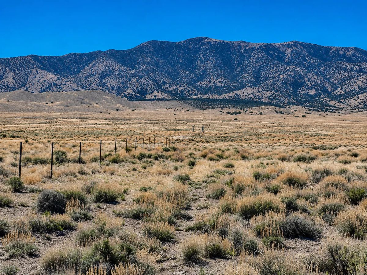 1.13 Acres in Humboldt Acres — Elko County, Nevada • Power Nearby • Mountain Views • Agricultural-Residential • Easy I-80 Access! APN: 020-007-0077 - Image 3