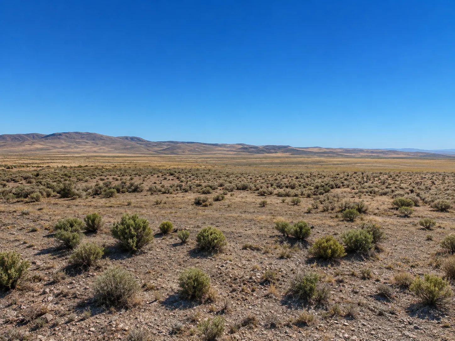 1.13 Acres in Humboldt Acres — Elko County, Nevada • Power Nearby • Mountain Views • Agricultural-Residential • Easy I-80 Access! APN: 020-007-0077 in Elko County, NV
