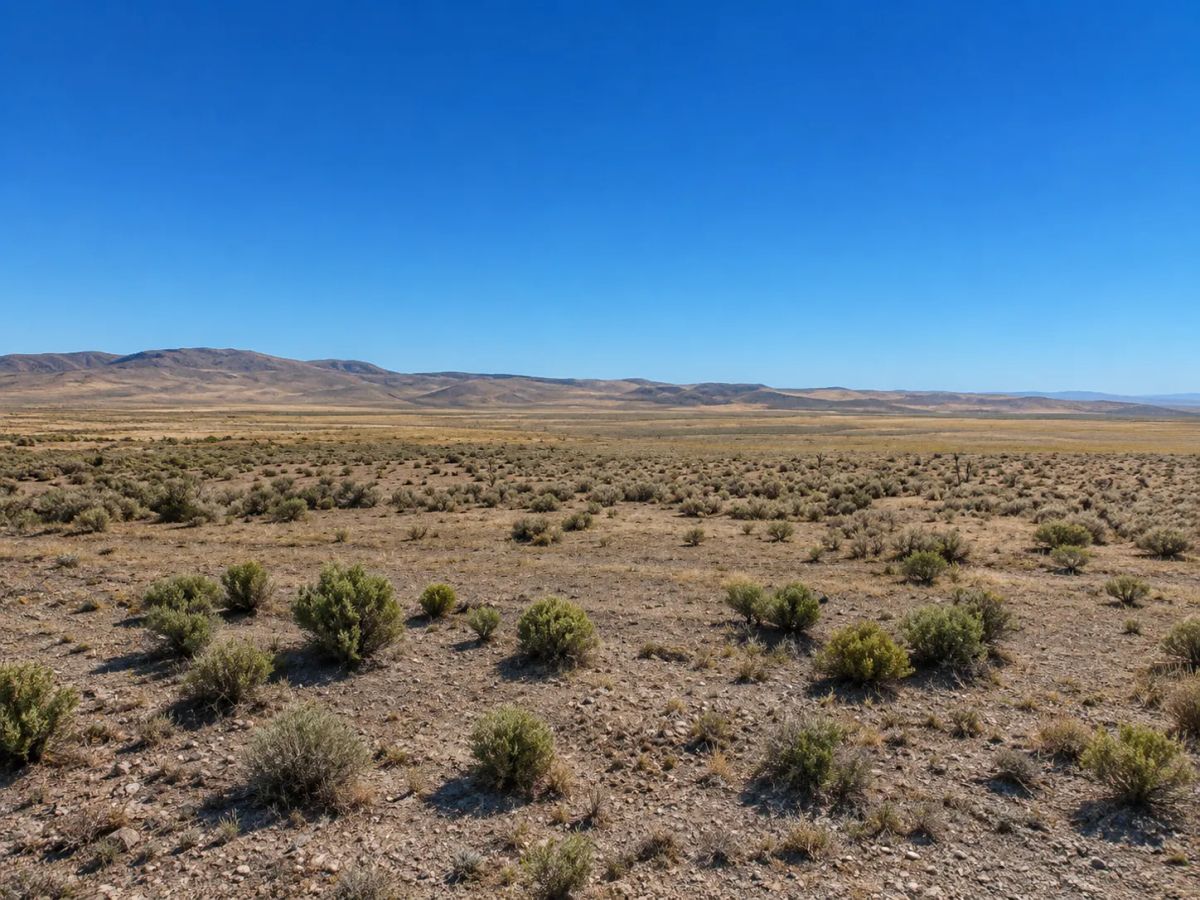 1.13 Acres in Humboldt Acres — Elko County, Nevada • Power Nearby • Mountain Views • Agricultural-Residential • Easy I-80 Access! APN: 020-007-0077 - Image 4
