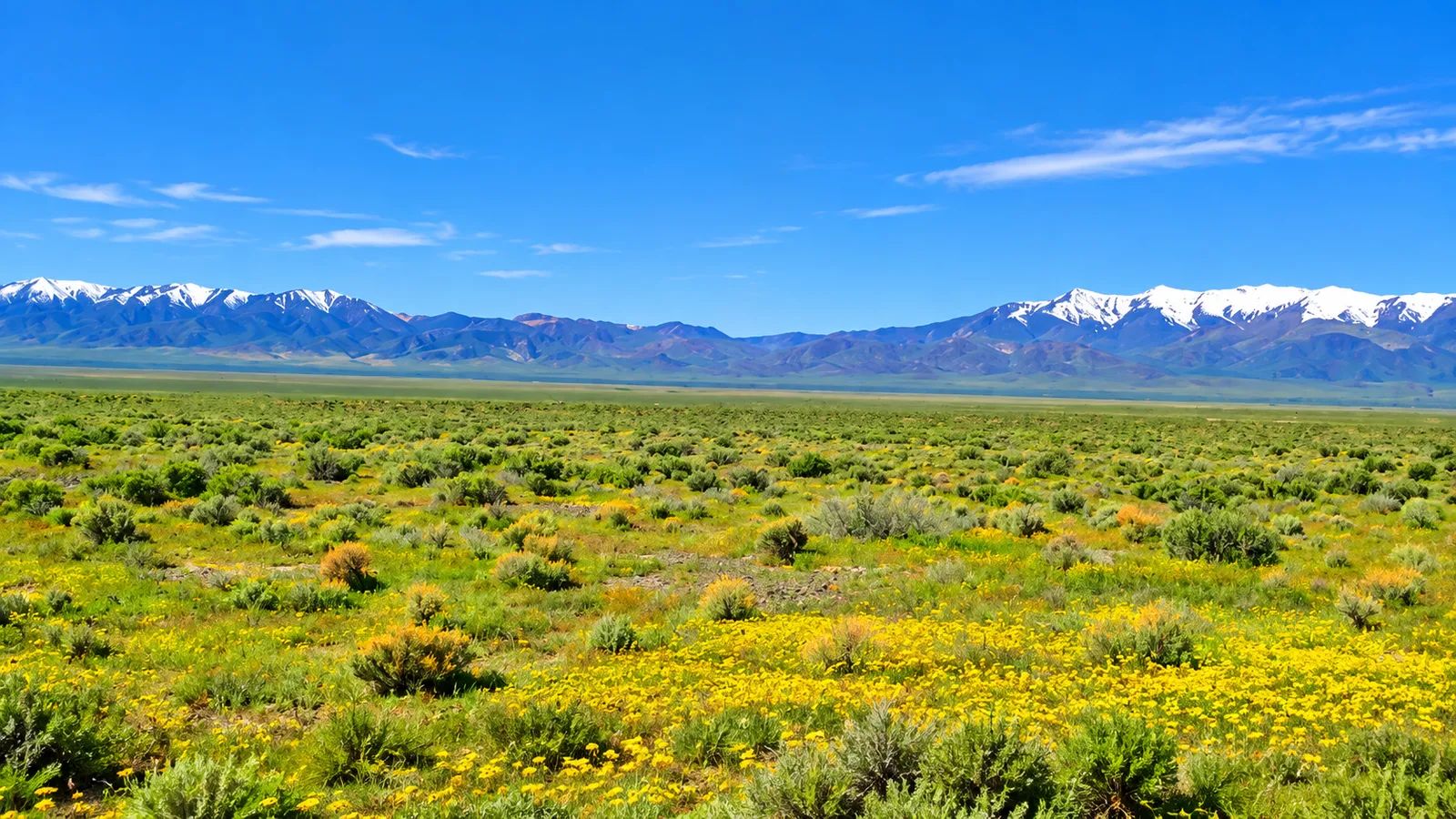 Discover nearly 39.96 acres of wide-open Nevada freedom in beautiful Antelope Valley. in Pershing County, NV
