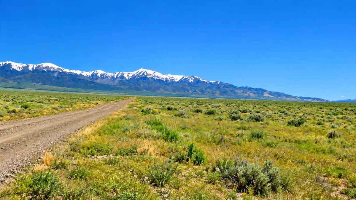 Discover nearly 39.96 acres of wide-open Nevada freedom in beautiful Antelope Valley. - Image 4