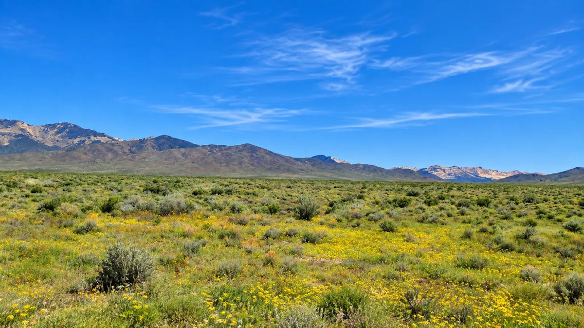 Decorative background for Discover nearly 39.96 acres of wide-open Nevada freedom in beautiful Antelope Valley. image 6