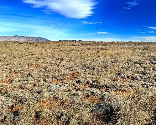 5.54 Acre Ranch in Alamosa County, Colorado – Bring Your RV, Amazing Views, Road Frontage, Power in Alamosa County, CO