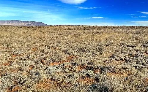5.54 Acre Ranch in Alamosa County, Colorado – Bring Your RV, Amazing Views, Road Frontage, Power in Alamosa County, CO