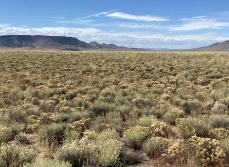 Decorative background for 5.54 Acre Ranch in Alamosa County, Colorado – Bring Your RV, Amazing Views, Road Frontage, Power image 14