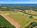 Own 5 Acres of South Carolina Peace and Possibility in Wallace. Enjoy level, open pasture with paved road frontage and public water available.