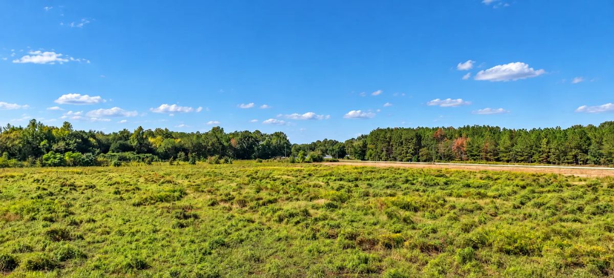 Own 5 Acres of South Carolina Peace and Possibility in Wallace. Enjoy level, open pasture with paved road frontage and public water available. - Image 3