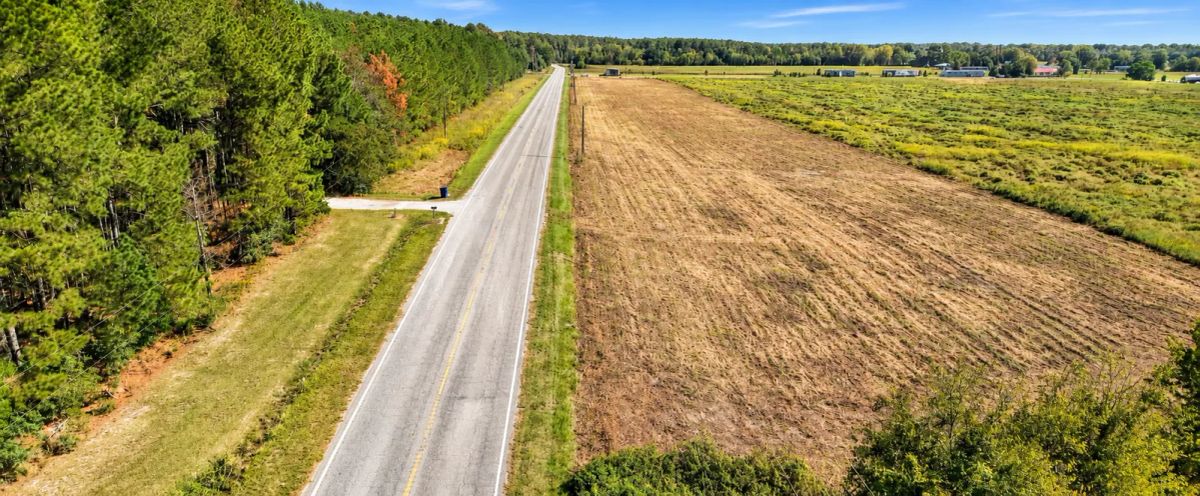 Own 5 Acres of South Carolina Peace and Possibility in Wallace. Enjoy level, open pasture with paved road frontage and public water available. - Image 4