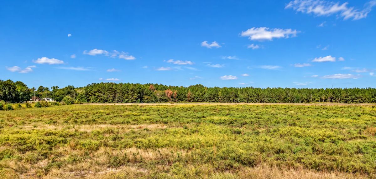 Decorative background for Own 5 Acres of South Carolina Peace and Possibility in Wallace. Enjoy level, open pasture with paved road frontage and public water available. image 5