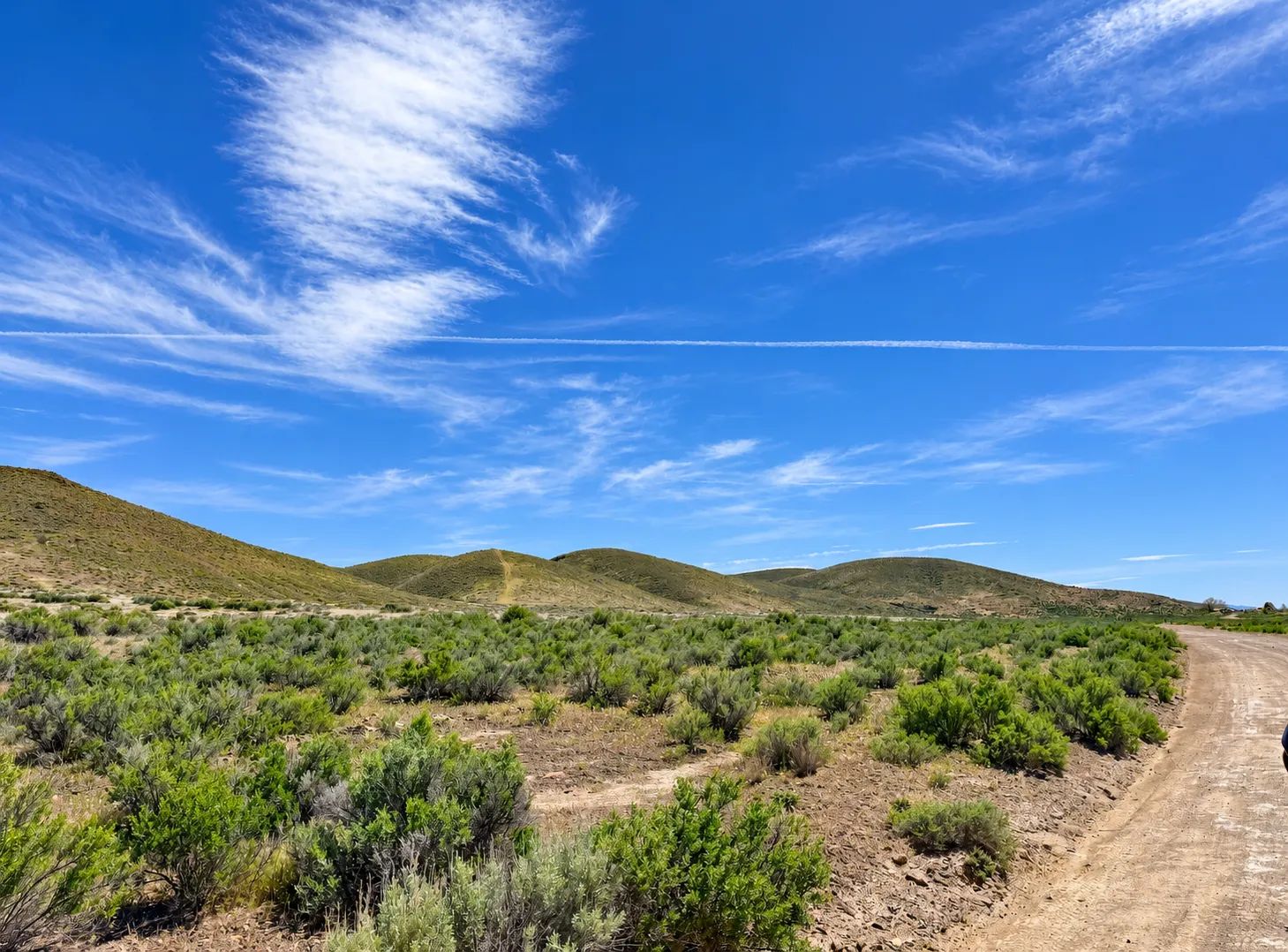 Discover 46 Acres & No Restrictions Acres in Crescent Valley NV- BLM RIGHTS-OF-WAY & PRIVATE LAND ACCESS -Majestic Mountain Views -APN: 007-080-07 in Lander County, NV